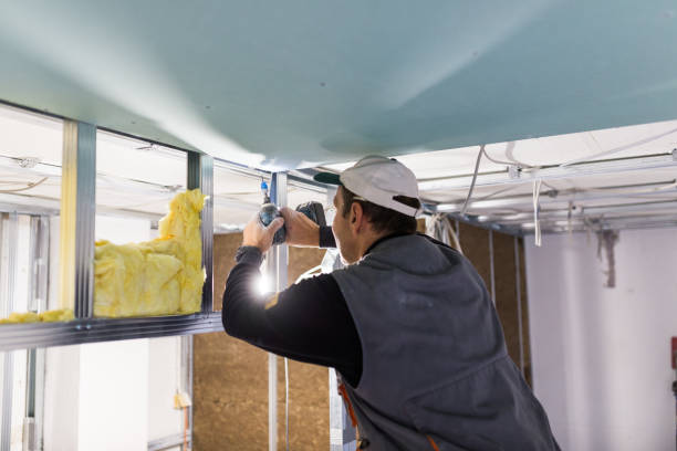 Best Wall Insulation Contractor  in Hummelstown, PA